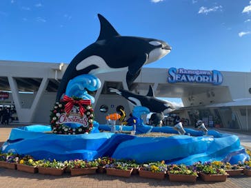 鴨川シーワールドに投稿された画像（2024/12/1）