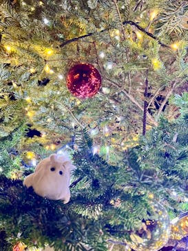 ムーミンバレーパークに投稿された画像（2024/12/1）