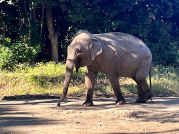 よこはま動物園ズーラシアに投稿された画像（2024/12/1）