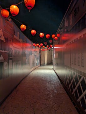 ニジゲンノモリに投稿された画像（2024/12/1）