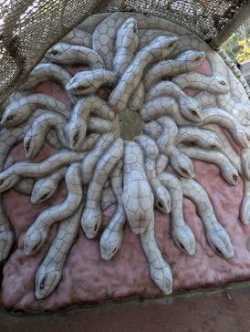 ニジゲンノモリに投稿された画像（2024/12/1）