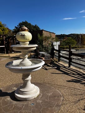 ニジゲンノモリに投稿された画像（2024/12/1）