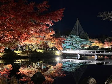 国営昭和記念公園 秋の夜散歩に投稿された画像（2024/12/1）