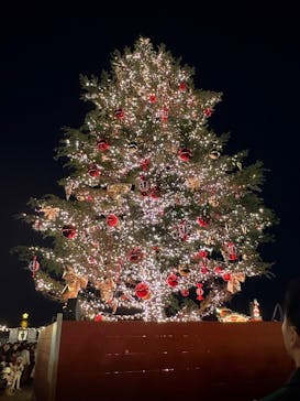 Christmas Market in 横浜赤レンガ倉庫 2025に投稿された画像（2024/12/1）