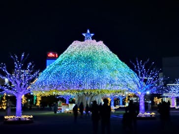 東京メガイルミに投稿された画像（2024/12/1）