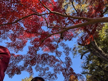 名古屋市東山動植物園に投稿された画像（2024/12/1）