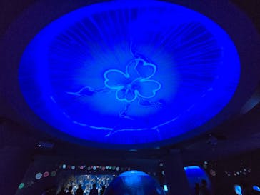 新江ノ島水族館に投稿された画像（2024/12/1）