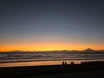 新江ノ島水族館に投稿された画像（2024/12/1）
