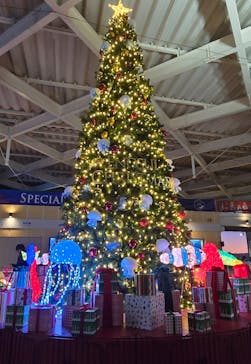 新江ノ島水族館に投稿された画像（2024/12/1）