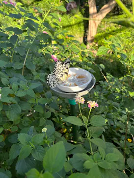 多摩動物公園に投稿された画像（2024/12/1）