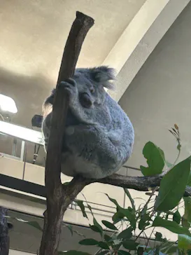 多摩動物公園に投稿された画像（2024/12/1）