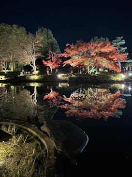国営昭和記念公園 秋の夜散歩に投稿された画像（2024/12/2）