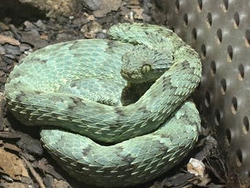 体感型動物園iZooに投稿された画像（2024/12/2）