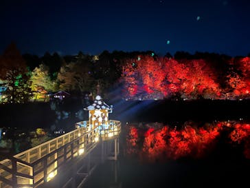 ムーミンバレーパークに投稿された画像（2024/12/2）