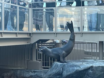 アクアワールド茨城県大洗水族館に投稿された画像（2024/12/2）