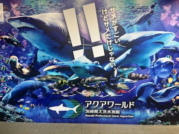 アクアワールド茨城県大洗水族館に投稿された画像（2024/12/2）