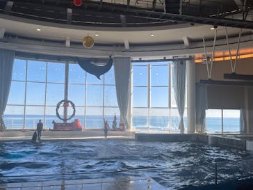 アクアワールド茨城県大洗水族館に投稿された画像（2024/12/2）