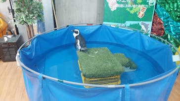 いきもの探検隊上尾に投稿された画像（2024/12/2）