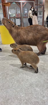 アニタッチ 東京ドームシティに投稿された画像（2024/12/2）