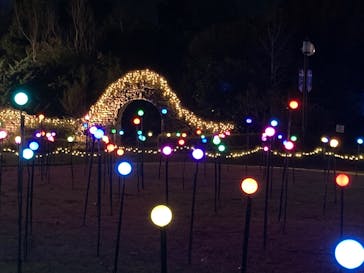 安城産業文化公園デンパークに投稿された画像（2024/12/2）