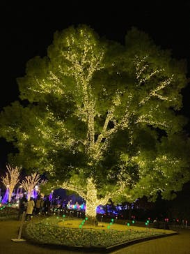 安城産業文化公園デンパークに投稿された画像（2024/12/2）