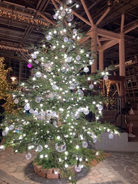 安城産業文化公園デンパークに投稿された画像（2024/12/2）