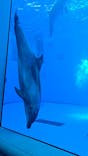 上越市立水族博物館 うみがたりに投稿された画像（2024/12/2）
