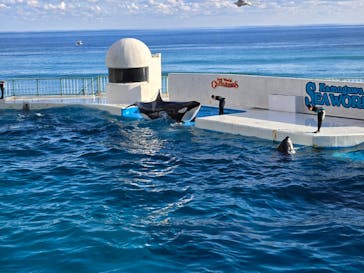 鴨川シーワールドに投稿された画像（2024/12/2）