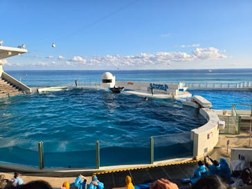 鴨川シーワールドに投稿された画像（2024/12/2）