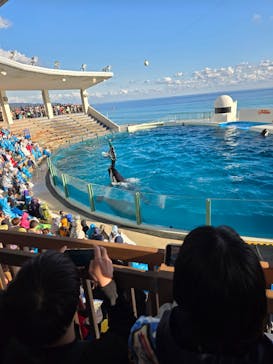 鴨川シーワールドに投稿された画像（2024/12/2）
