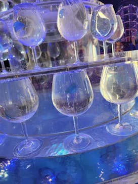 新江ノ島水族館に投稿された画像（2024/12/2）