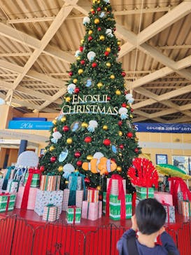 新江ノ島水族館に投稿された画像（2024/12/2）