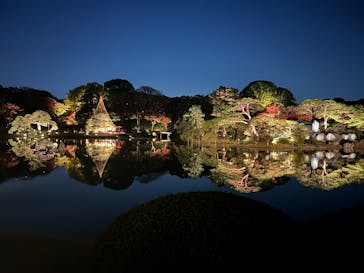 六義園に投稿された画像（2024/12/2）