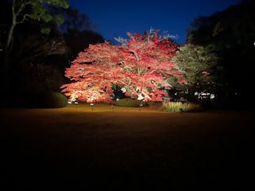 六義園に投稿された画像（2024/12/2）