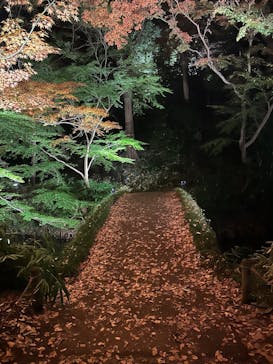 六義園に投稿された画像（2024/12/2）