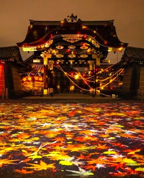 NAKED meets 二条城 2025 観月に投稿された画像（2024/12/2）