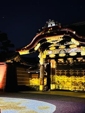 NAKED meets 二条城 2025 観月に投稿された画像（2024/12/2）