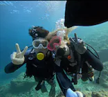 武藤潜水に投稿された画像（2024/12/2）