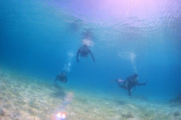 アクアドロップに投稿された画像（2024/12/2）