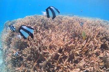 アクアドロップに投稿された画像（2024/12/2）