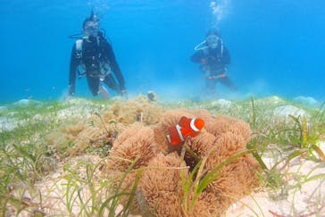 アクアドロップに投稿された画像（2024/12/2）