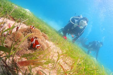 アクアドロップに投稿された画像（2024/12/2）