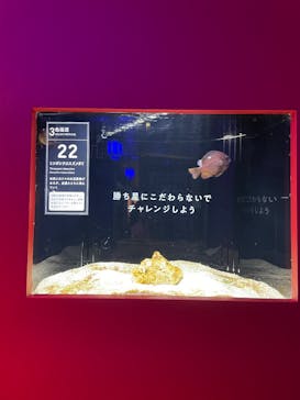 横浜開運水族館 フォーチュンアクアリウムに投稿された画像（2024/12/2）