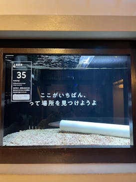 横浜開運水族館 フォーチュンアクアリウムに投稿された画像（2024/12/2）