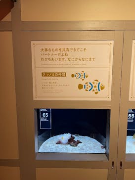 横浜開運水族館 フォーチュンアクアリウムに投稿された画像（2024/12/2）