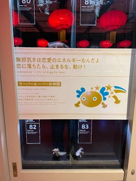 横浜開運水族館 フォーチュンアクアリウムに投稿された画像（2024/12/2）