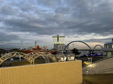 名古屋港水族館に投稿された画像（2024/12/2）