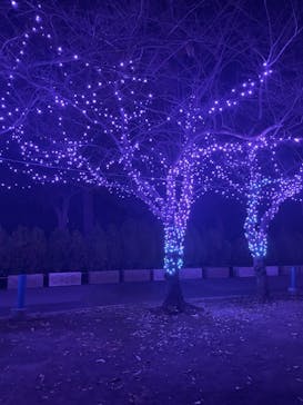 東武動物公園に投稿された画像（2024/12/2）