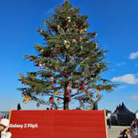 Christmas Market in 横浜赤レンガ倉庫 2025に投稿された画像（2024/12/2）