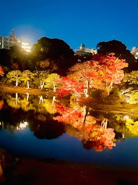 六義園に投稿された画像（2024/12/2）